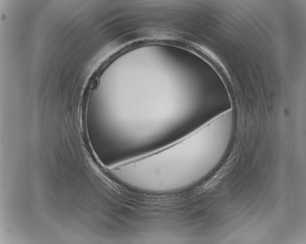 X0000062170935200512091047
