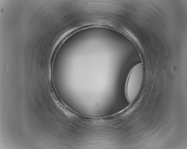 X0000062170940200512091047