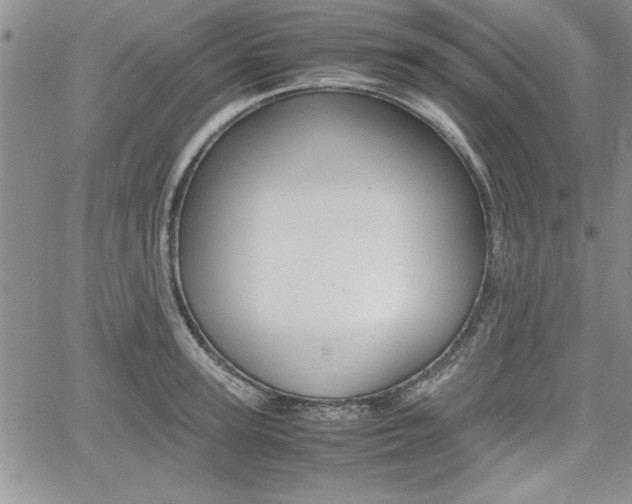 X0000062170947200512091048