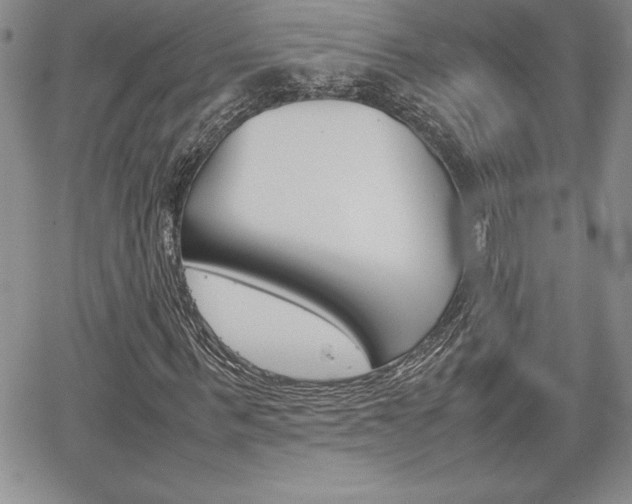 X0000062170963200512091047