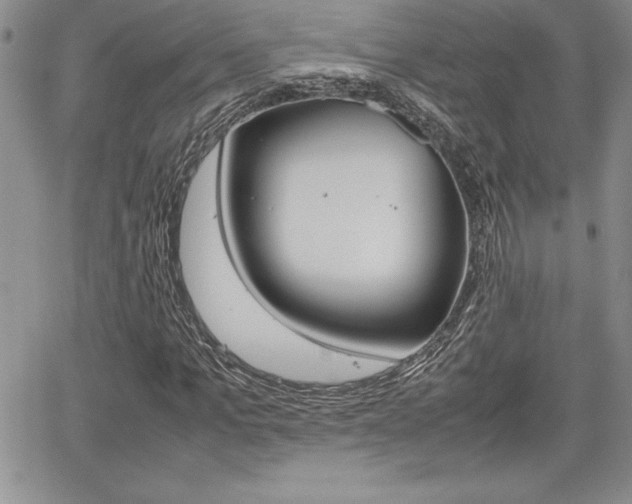 X0000062170965200512091047