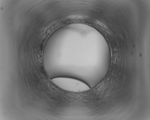 X0000062170966200512091047