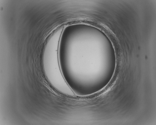 X0000062170969200512091047