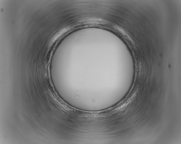 X0000062170970200512091047