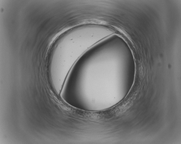 X0000062170971200512091047