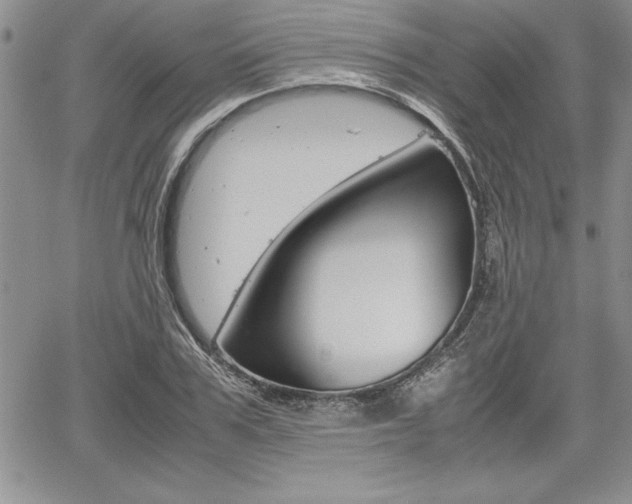 X0000062170979200512091047
