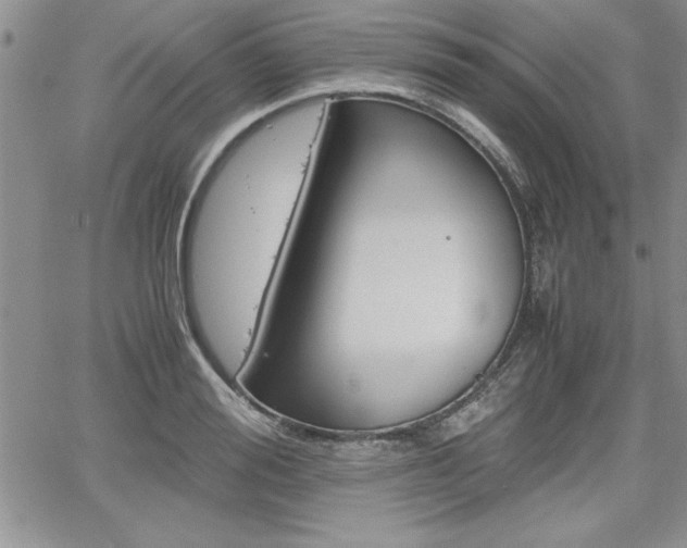 X0000062170988200512091047