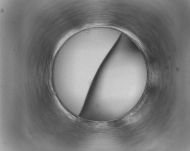 X0000062171006200512091046