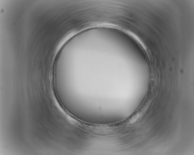X0000062171007200512091046