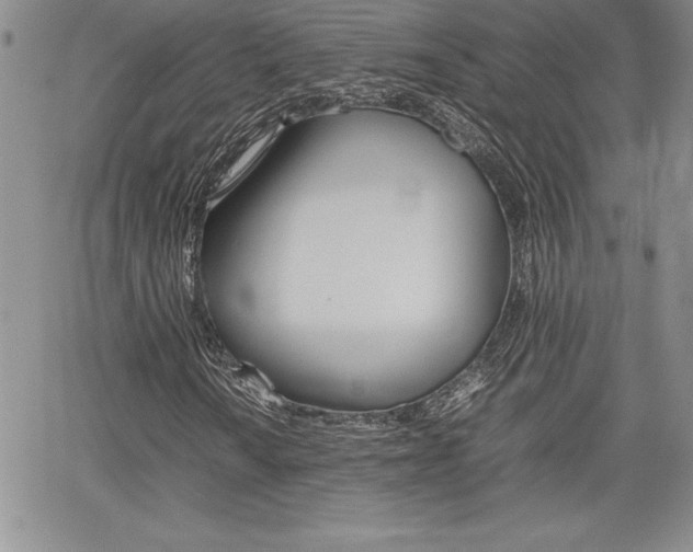 X0000062171010200512091045
