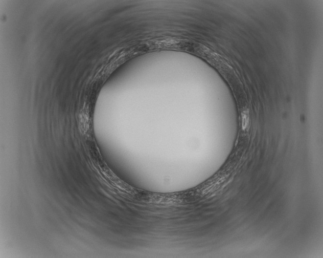 X0000062171011200512091045