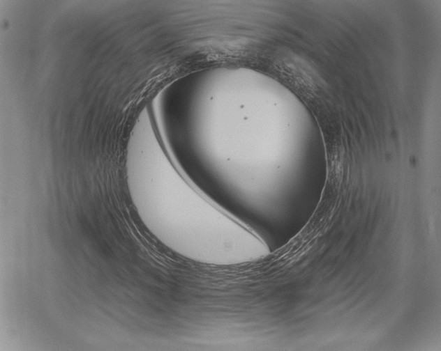 X0000062171012200512091045