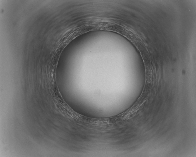 X0000062171013200512091045