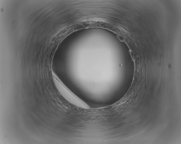 X0000062171014200512091045
