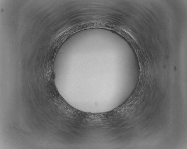 X0000062171015200512091045