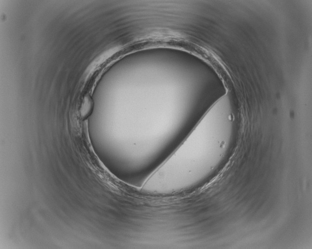 X0000062171018200512091046