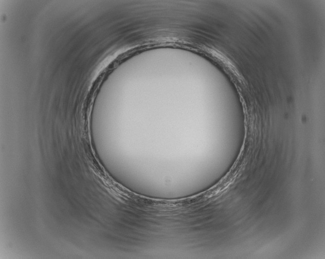 X0000062171023200512091046