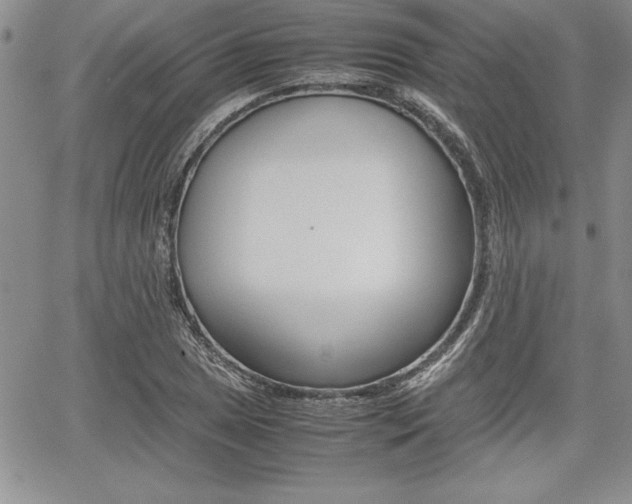X0000062171025200512091046