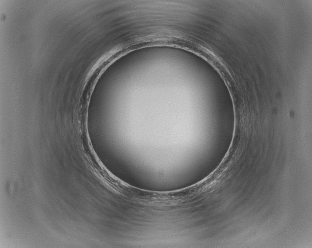X0000062171026200512091046