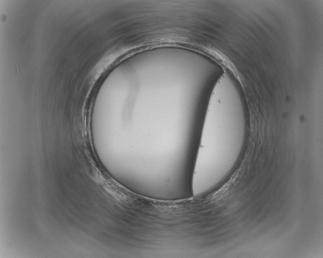 X0000062171031200512091046