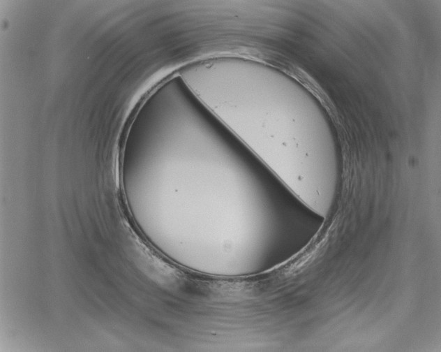 X0000062171036200512091046