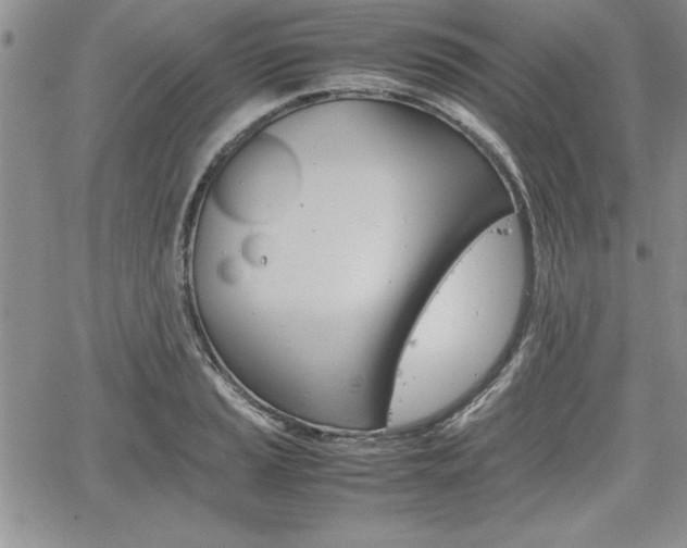 X0000062171037200512091046
