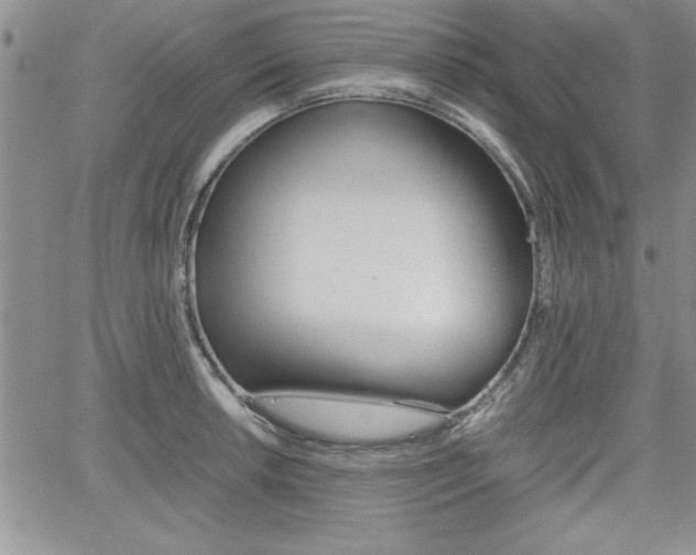 X0000062171042200512091046
