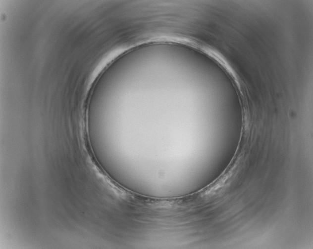 X0000062171048200512091046