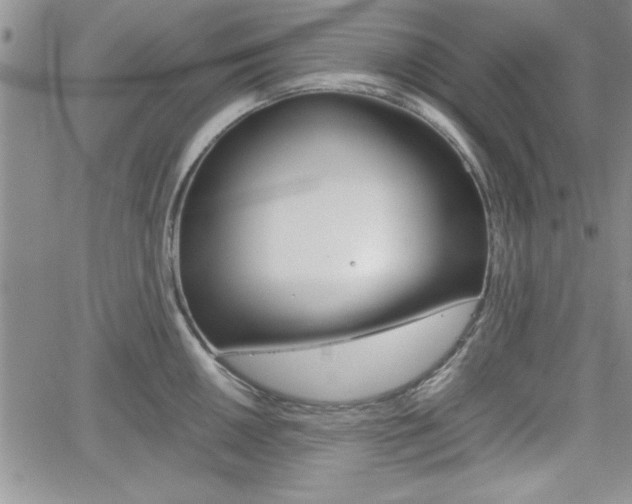X0000062171050200512091046