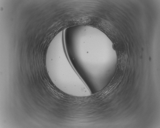 X0000062171058200512091045