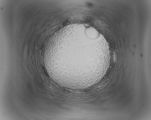 X0000062171059200512091045