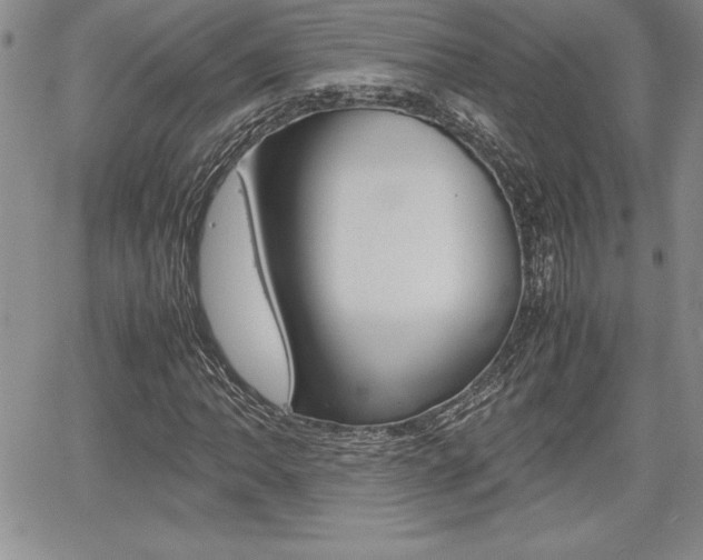 X0000062171062200512091045