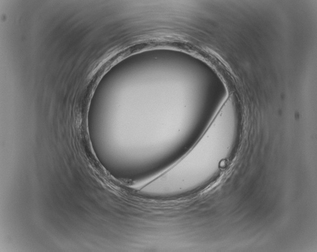 X0000062171065200512091045