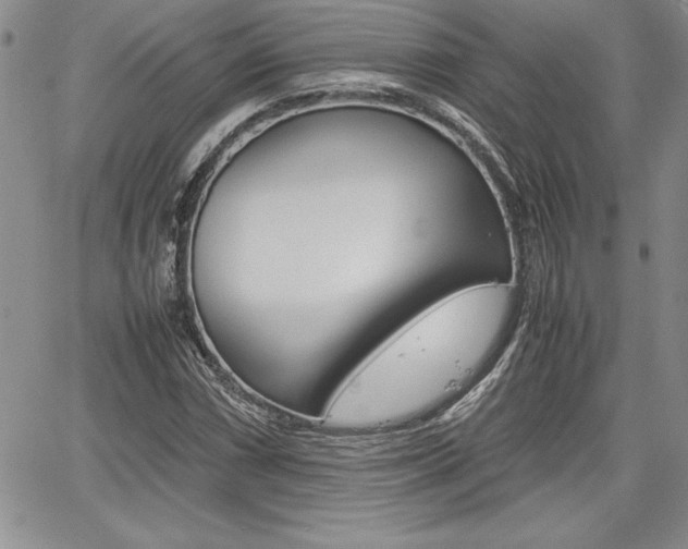 X0000062171066200512091045