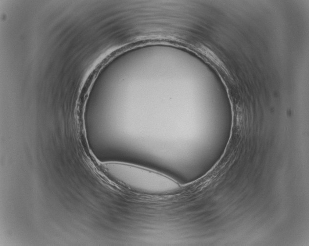 X0000062171068200512091045