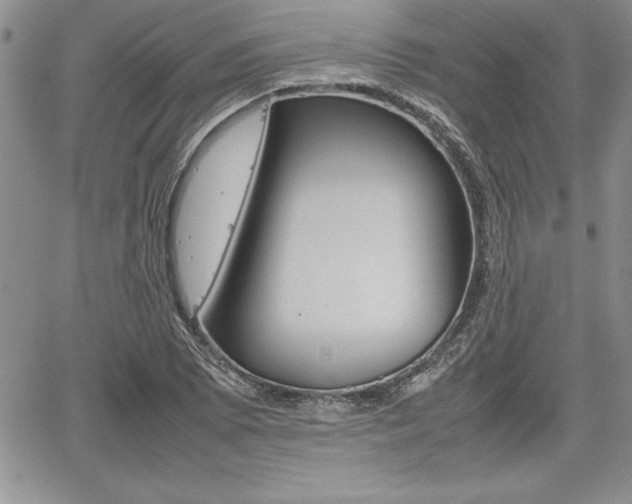 X0000062171073200512091045