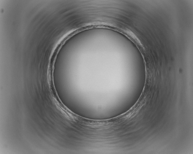 X0000062171076200512091045