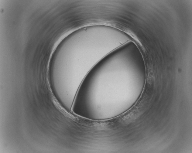 X0000062171080200512091045