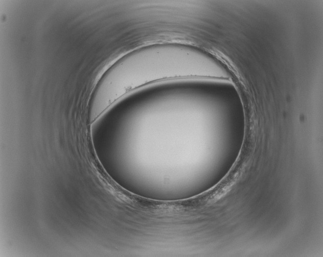 X0000062171081200512091045