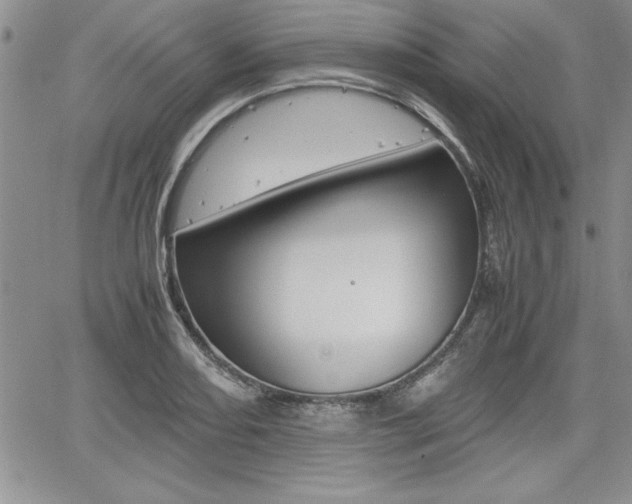 X0000062171082200512091045