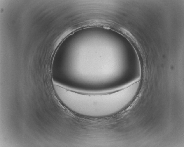X0000062171089200512091045