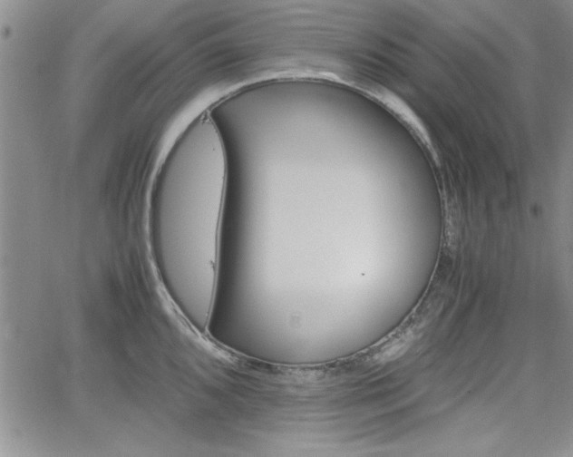 X0000062171096200512091045