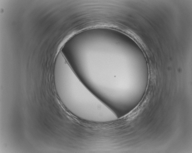 X0000062171097200512091045