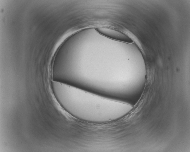 X0000062171099200512091045