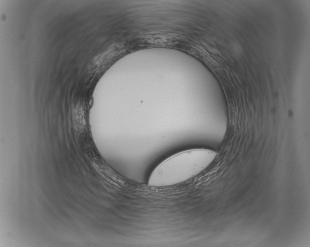 X0000062171106200512091044