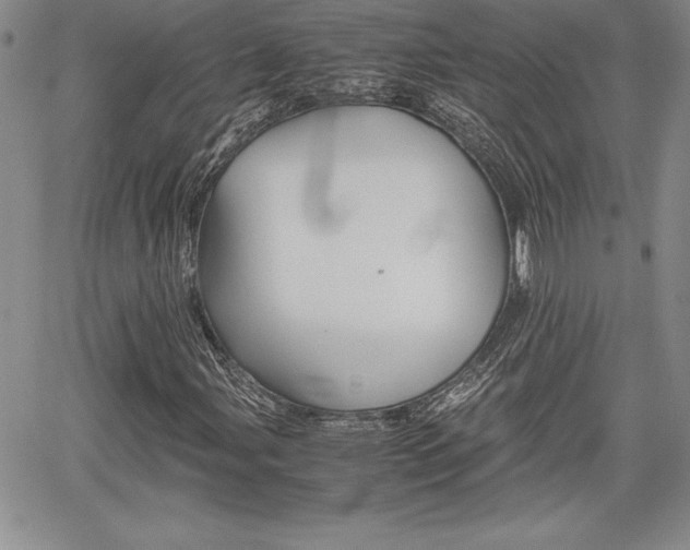 X0000062171107200512091044