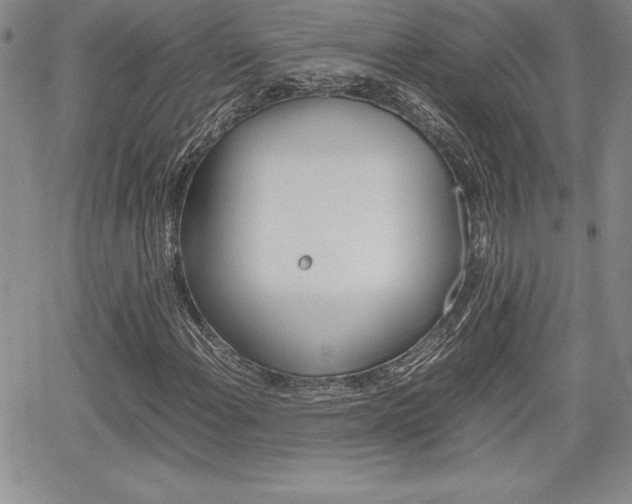 X0000062171108200512091044