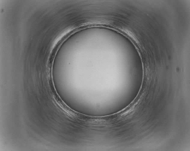 X0000062171119200512091044