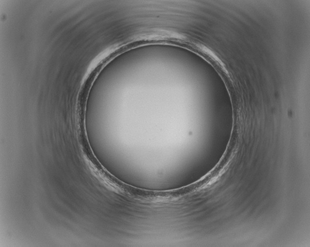 X0000062171122200512091044