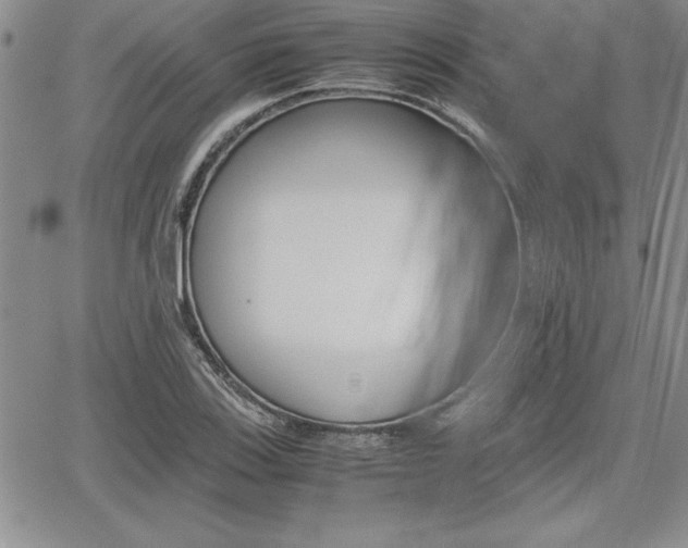 X0000062171123200512091044